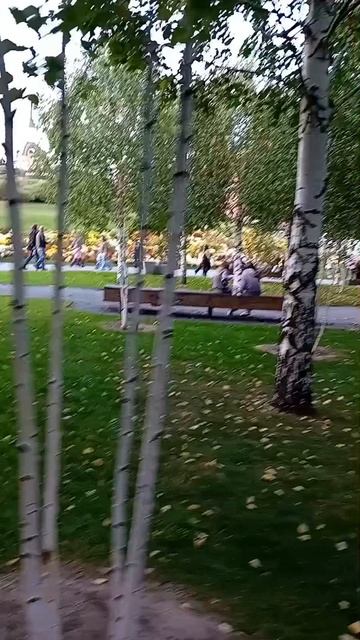 Парк Зарядье Москва Берёзовая роща — одна из семи ключевых ландшафтных зон типичный для средней поло