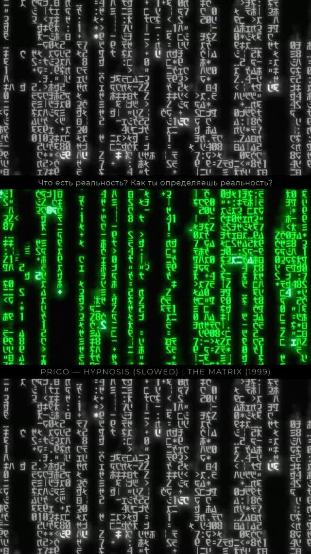 Что есть реальность? Как ты определяешь реальность?