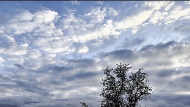 Облака и пение птиц ☁️🐦 10 минут тишины и природы | Для отдыха и созерцания