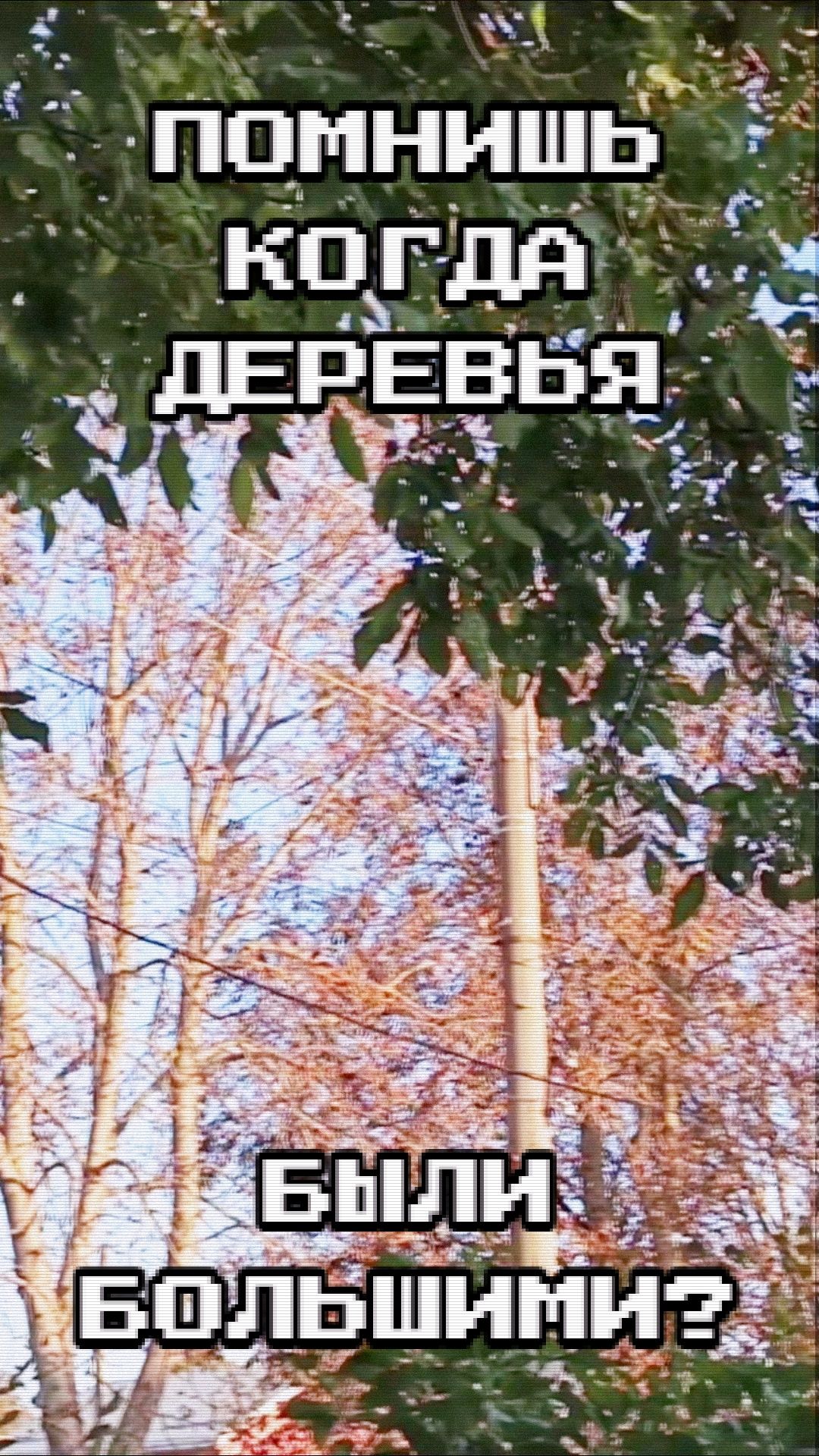 Помнишь, когда деревья были большими? (клип)