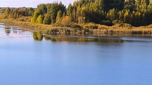 Осенние деньки