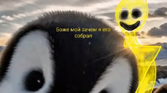 Зря я собрал Верити в побег от блогера