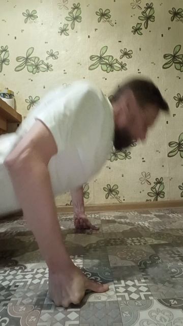 255 день экспериментальных отжиманий с Чернушкой