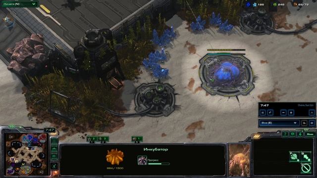 SC2 КотКомпот 3х3