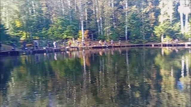 Поимки форели на спиннинг. Спорт-зона. Клёвое место Лосиный остров.