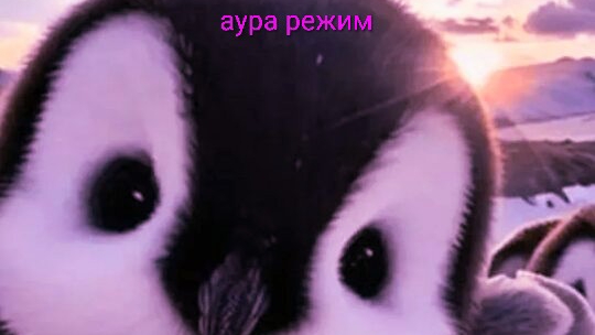 Паркур пингвина ради рыбки аура режим
