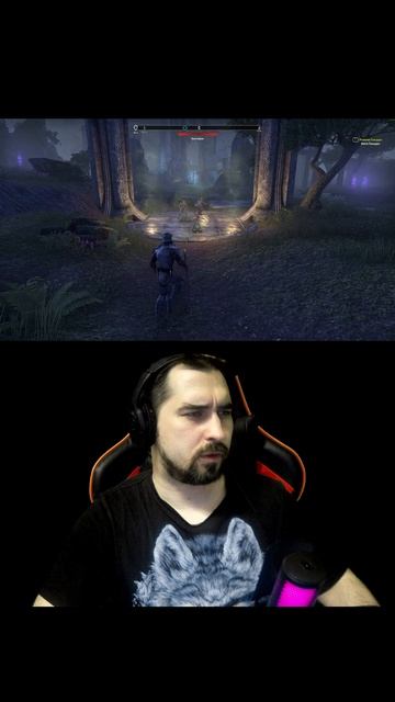 Когда на 60 секунд залетел в The Elder Scrolls Online