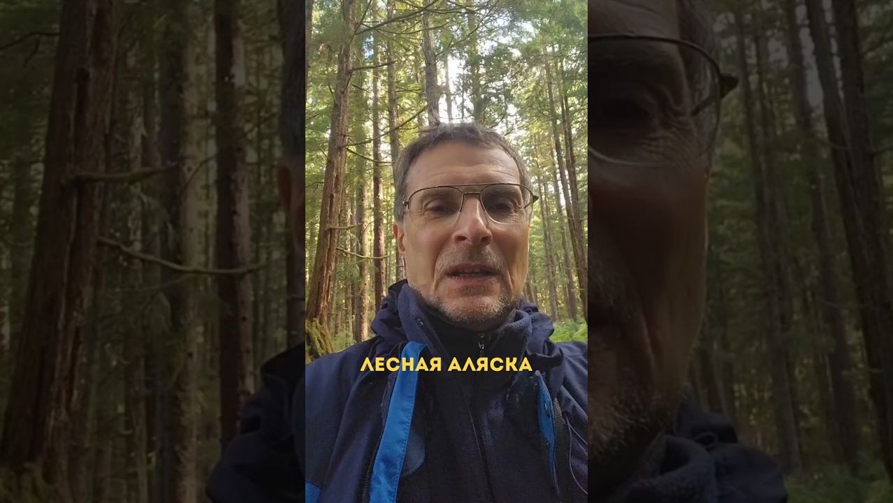 Лесная Аляска🌲🌲🌲