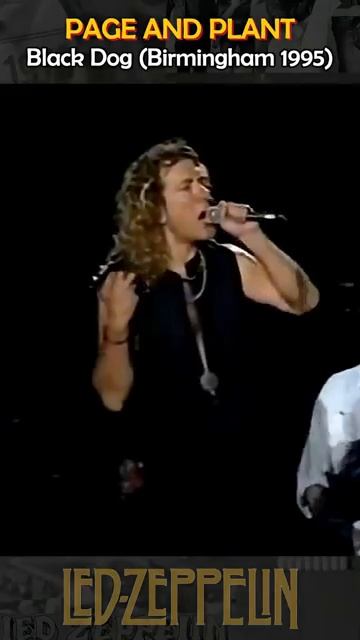 Page And Plant - Black Dog (Birmingham 1995) #jimmypage #ledzeppelin #robertplan