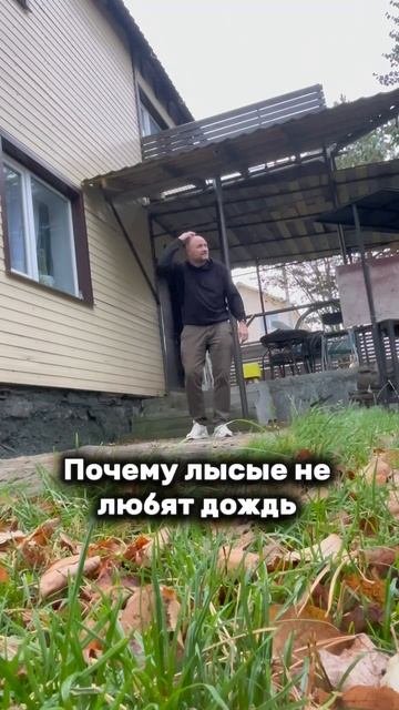Лысые в дождь