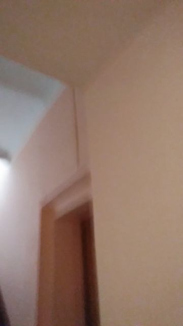 обзор на музыкалку
