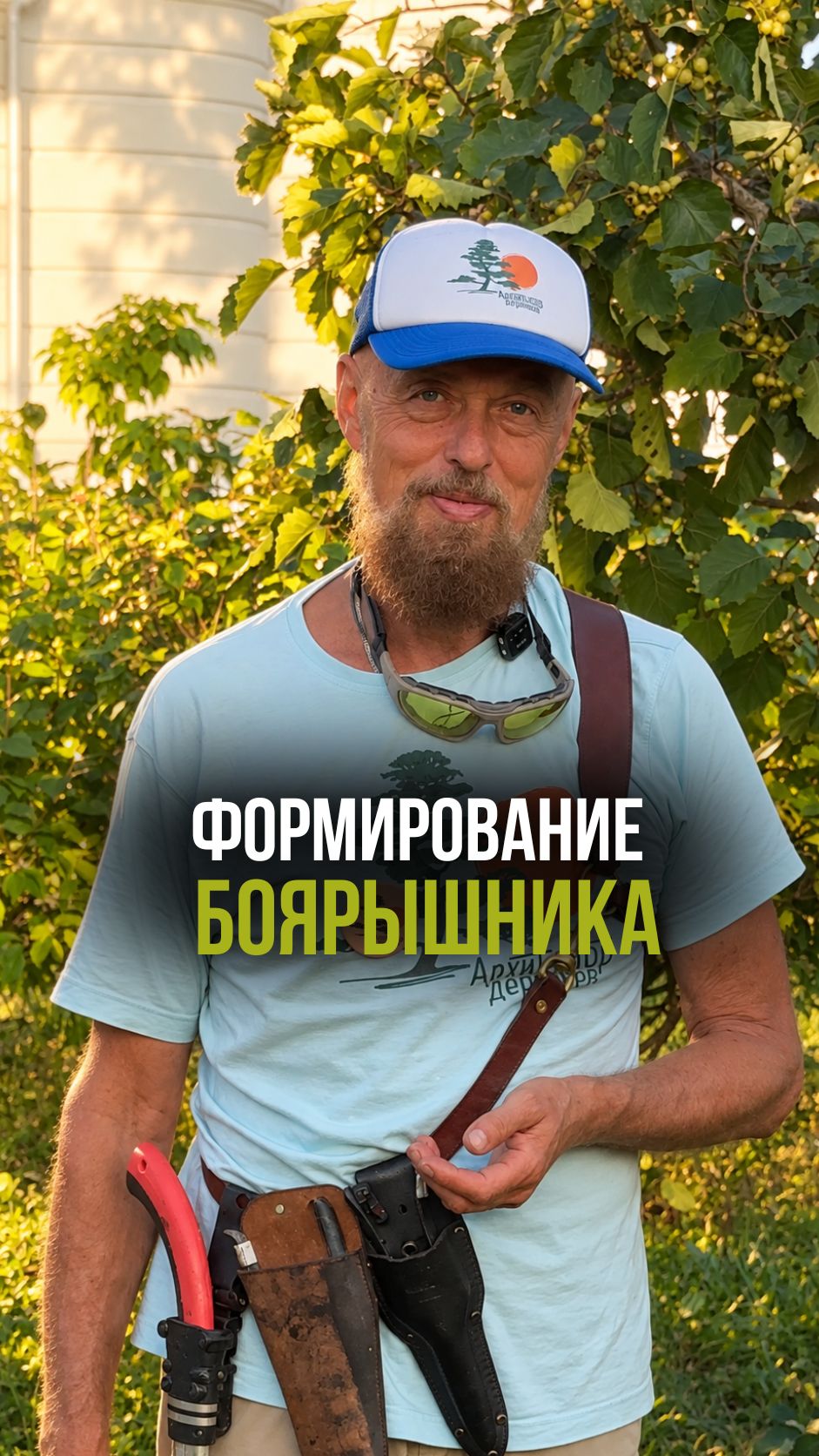 Формирование боярышника