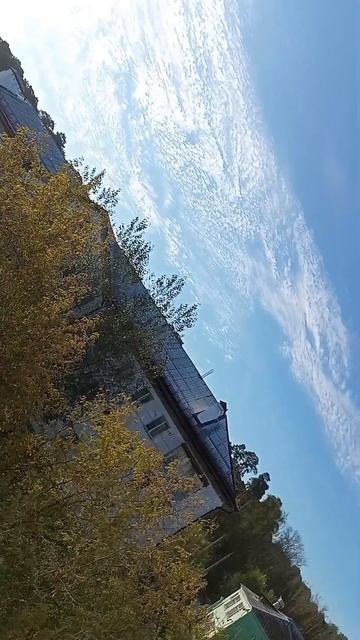 ☀️ Солнечное утро ☀️