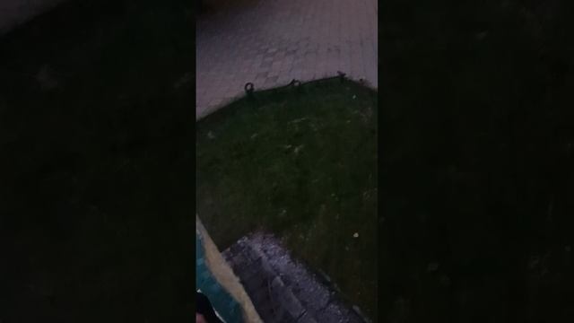 Полина!!!!Апорт!!!!