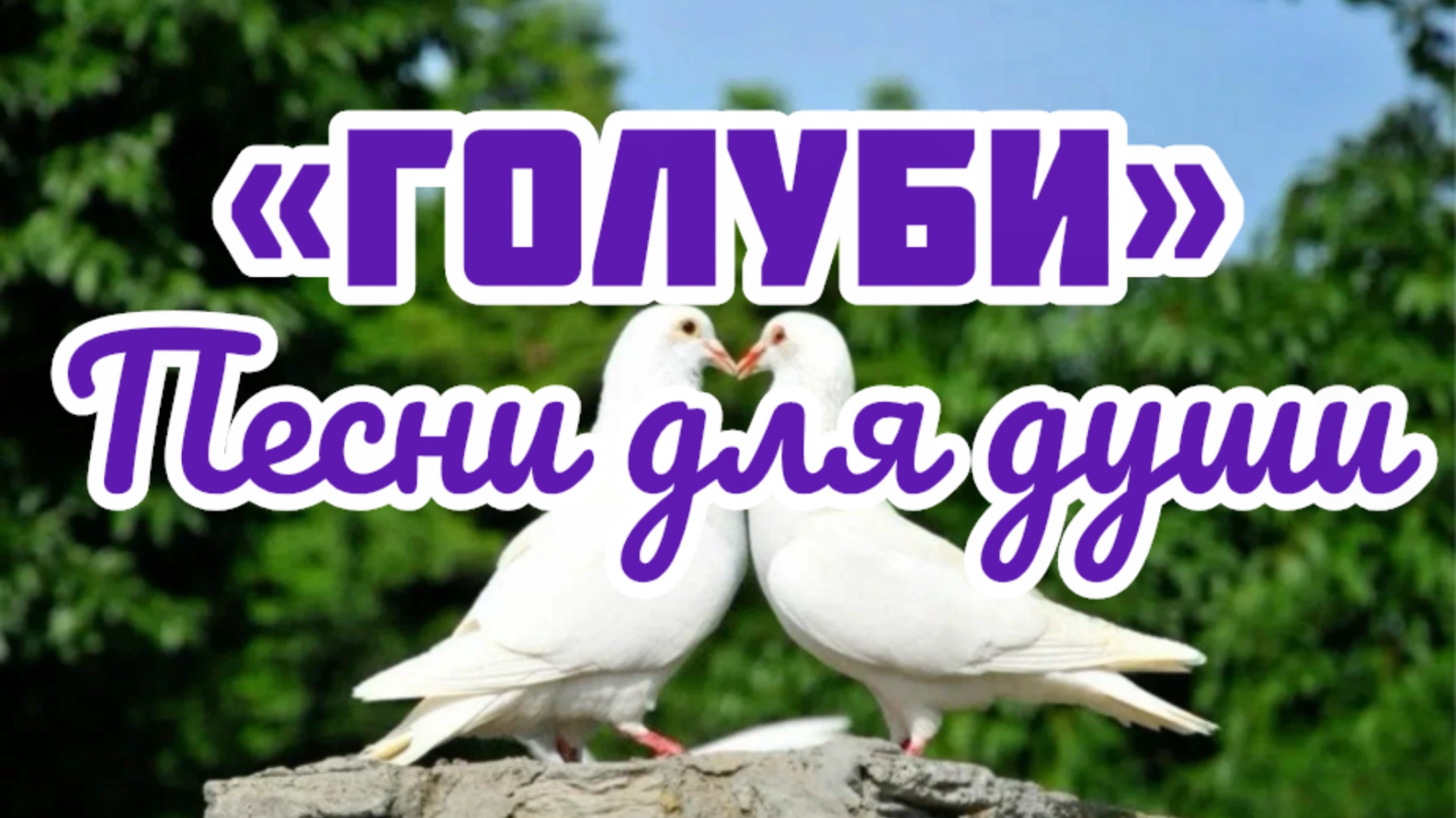 Песни для души. «Голуби».