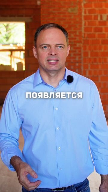 Самая желанная и бесполезная вещь на участке