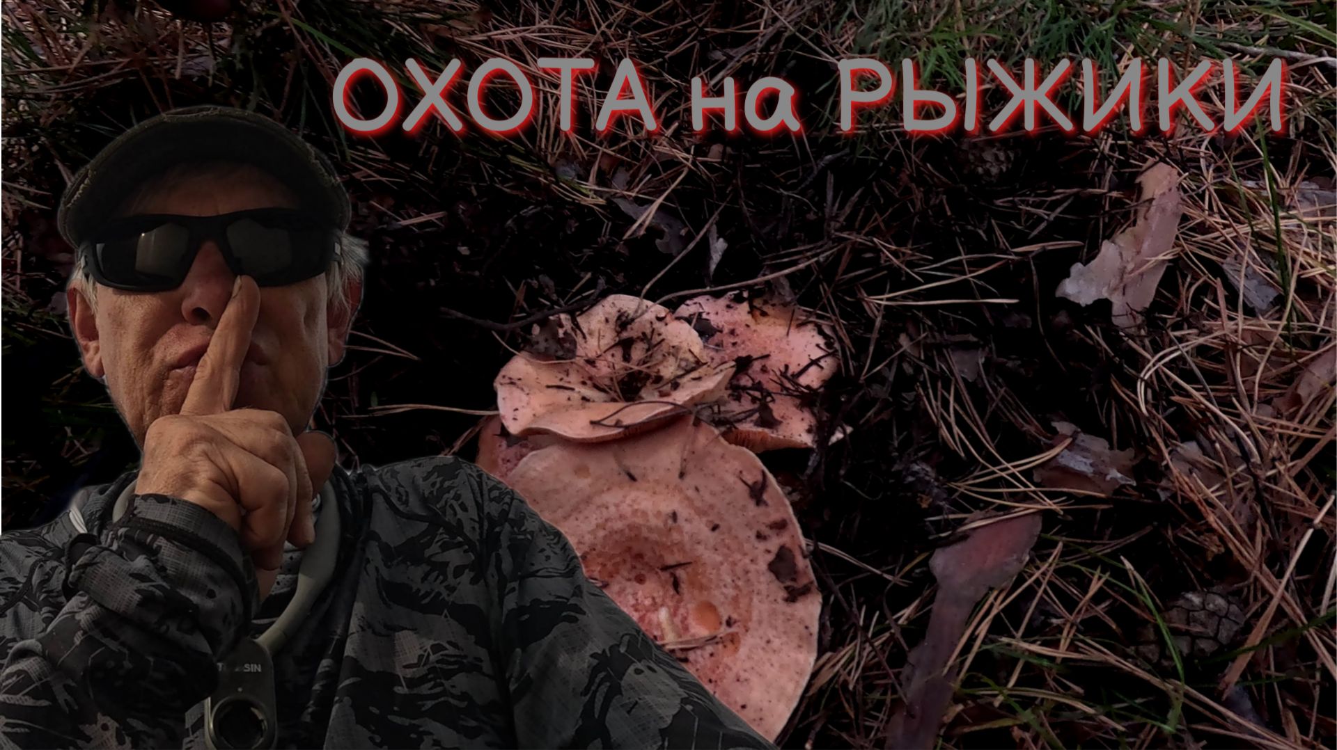 Мы снова за этими грибами [4k]