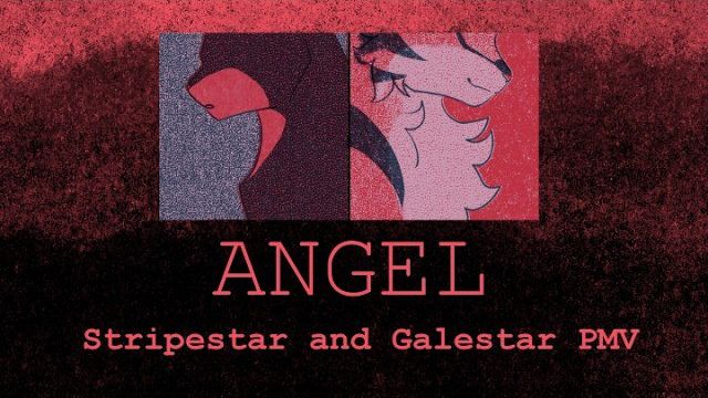Angel || Galestar And Stripestar PMV (КОТЫ ВОИТЕЛИ АНИМАЦИЯ ПЕРЕЗАЛИВ)
