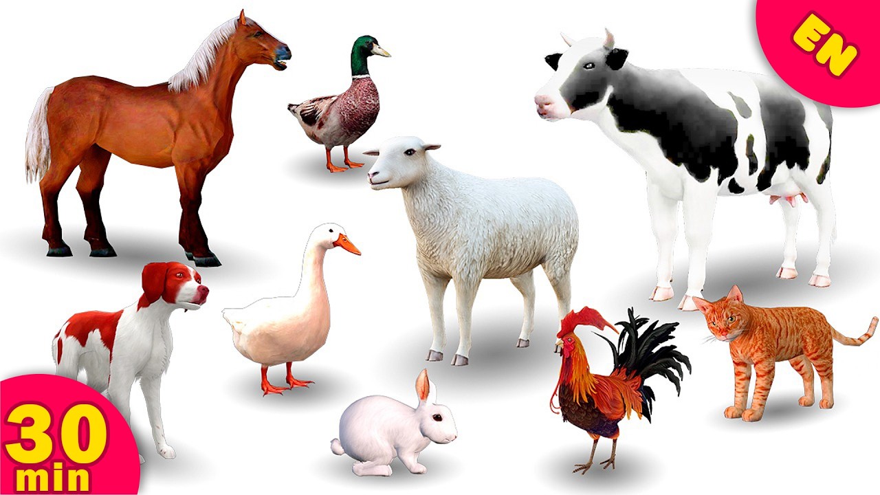 30 min Farm Animals for Kids  Animal Names and Sounds  Learn Animals