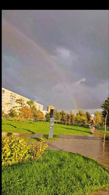 //Питер//Осенняя РАДУГА🌈
