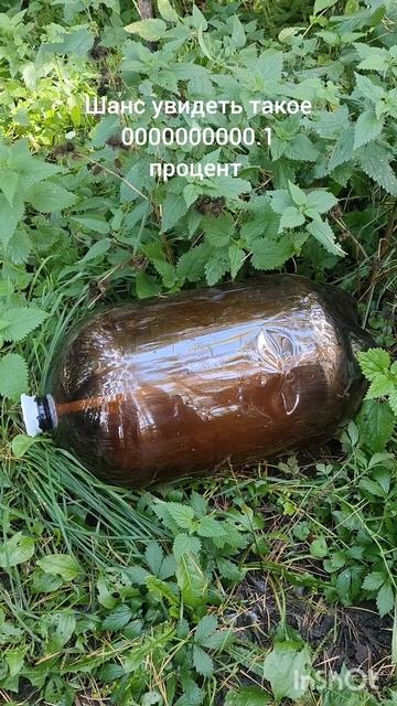 шанс увидеть такое