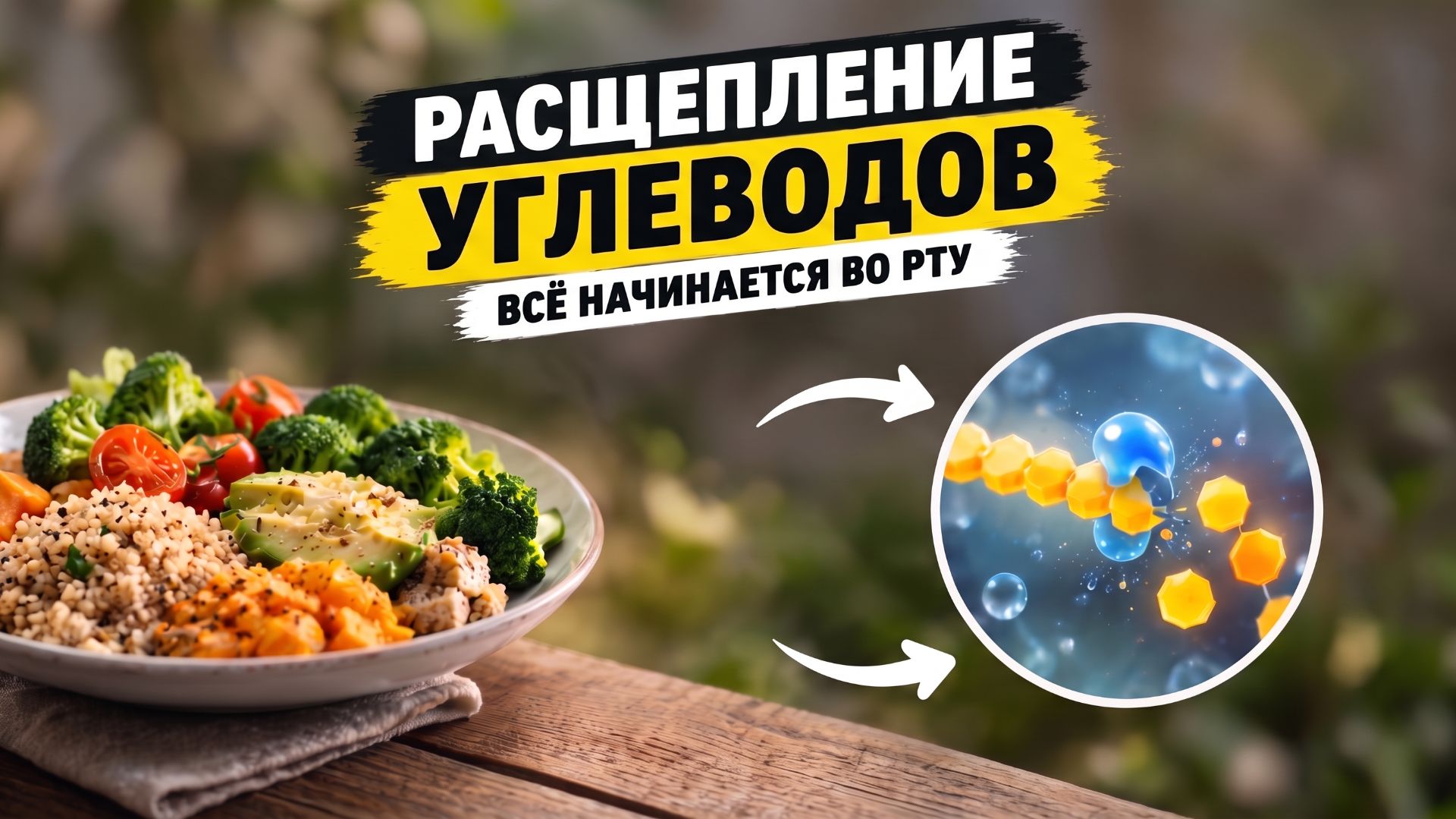 💥 Вот где начинается распад углеводов | Кристина Хлыстова