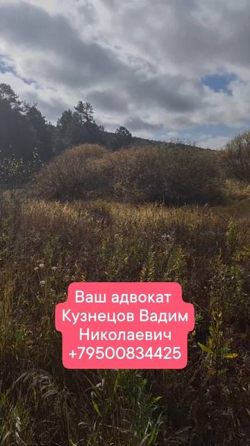 ИИ против юристов
