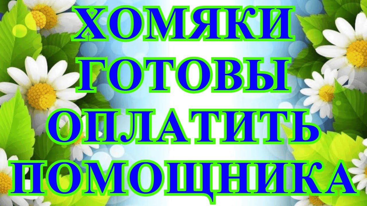 Деревенский дневник очень многодетной мамы/Стрим/Хомяки готовы оплатить помощника.