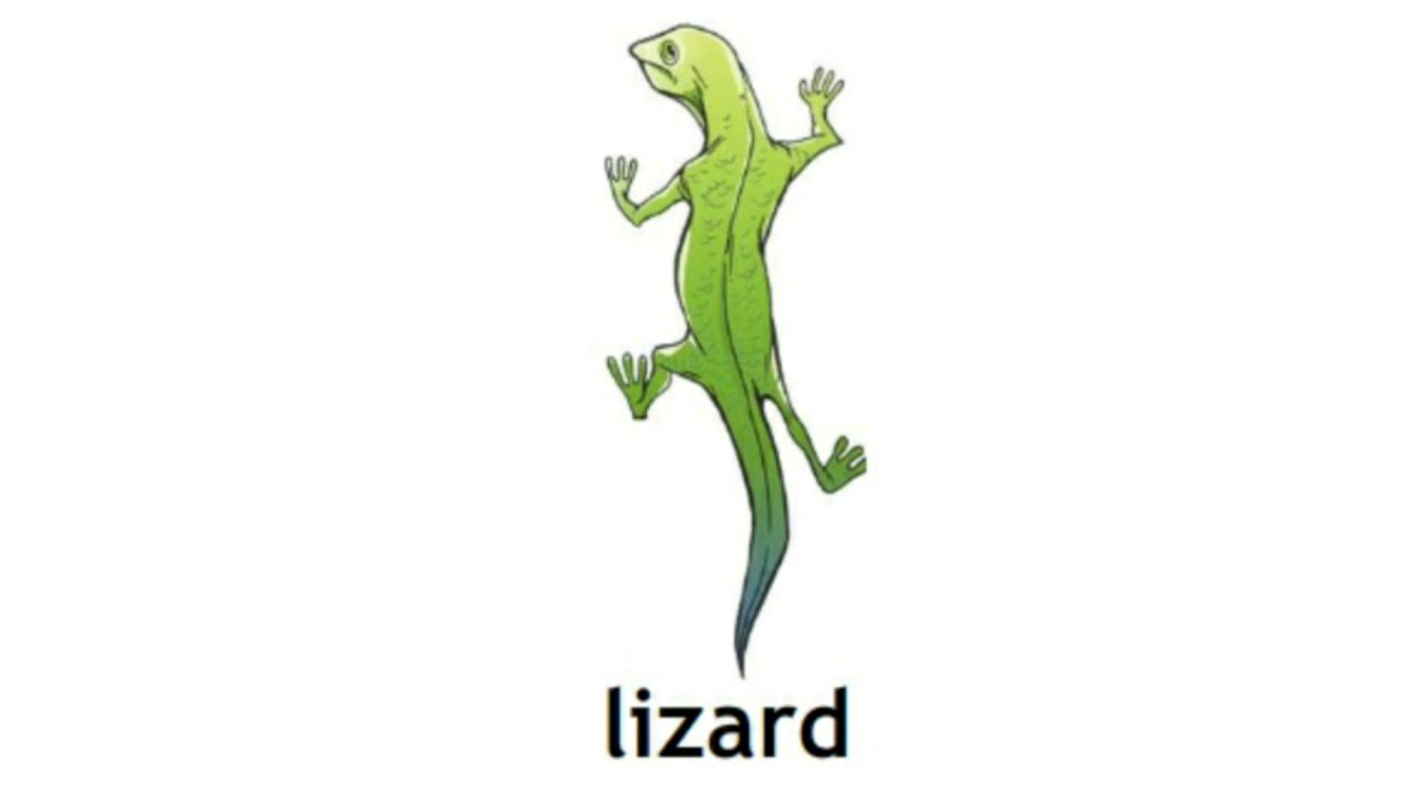 How to Pronounce Lizard in British English