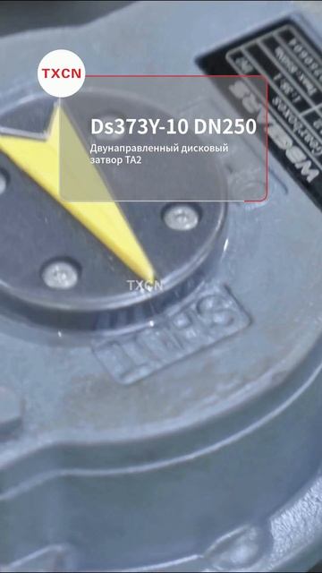 TXCN затвор Ds373Y-10 DN250 TA2 двусторонний титановый #промарматура