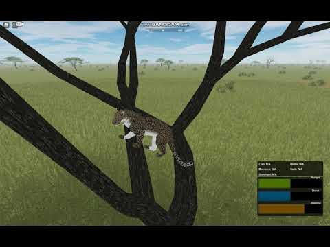Тестинг А! Дикая саванна!!! Testing A Roblox.