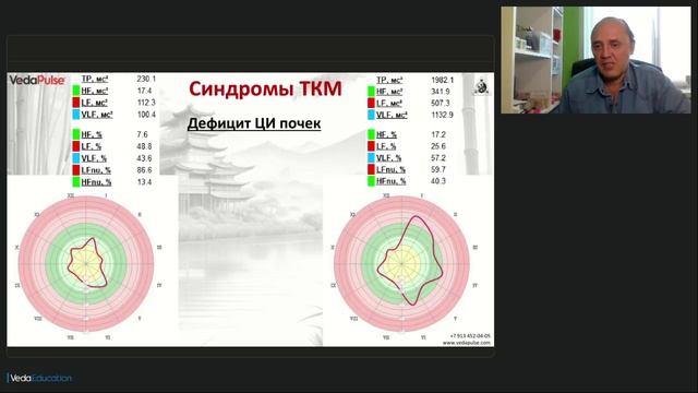Канал Почек: синдромы дисбаланса и методы коррекции