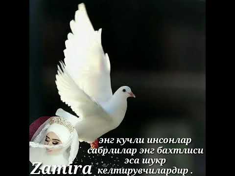 БАХТ БУ НИМА ? BAHT BU NIMA ?