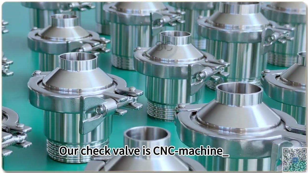 Stainless Sanitary WeldThread Check Valve
