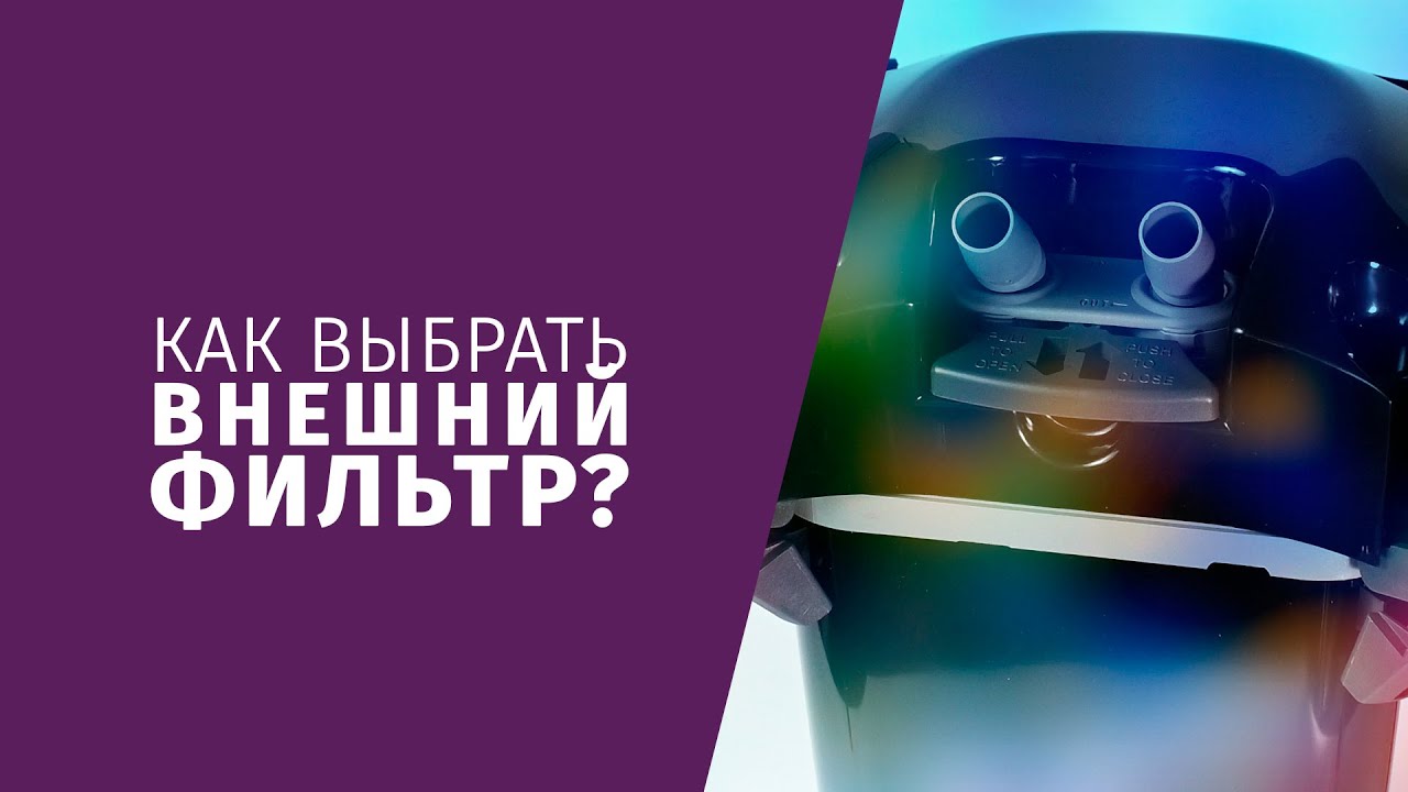 Как выбрать внешний фильтр для аквариума Общие рекомендации для начинающих аквариумистов