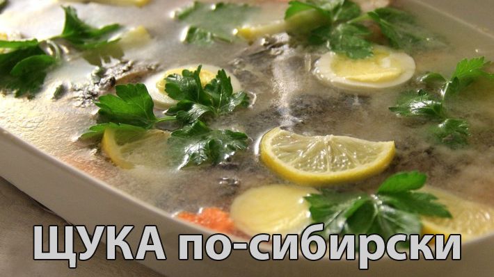 Фаршированная заливная щука по-сибирски (рецепт)