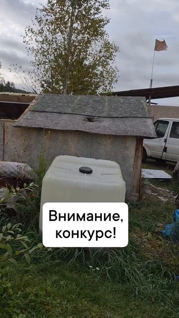 внимание конкурс
