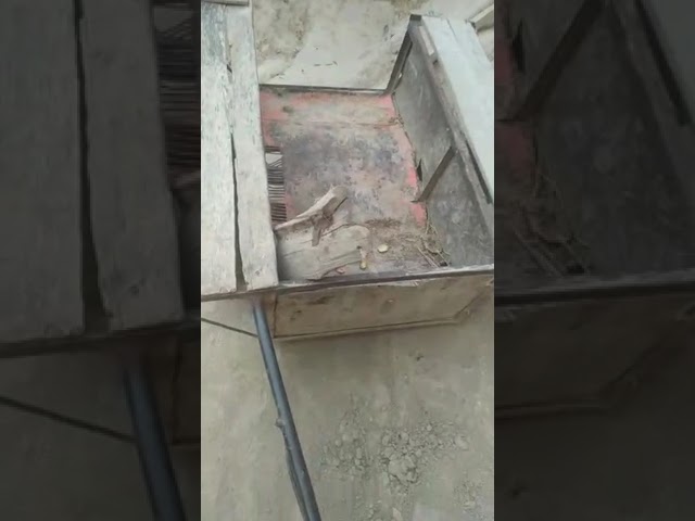 эшакка қушиладиган арава
