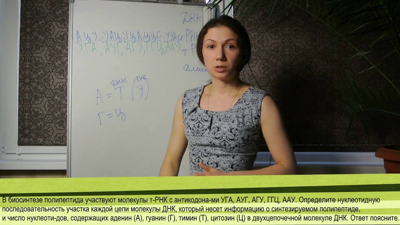 Задачи по цитологии: Задачи на построение иРНК, тРНК и аминокислотной цепочки 1