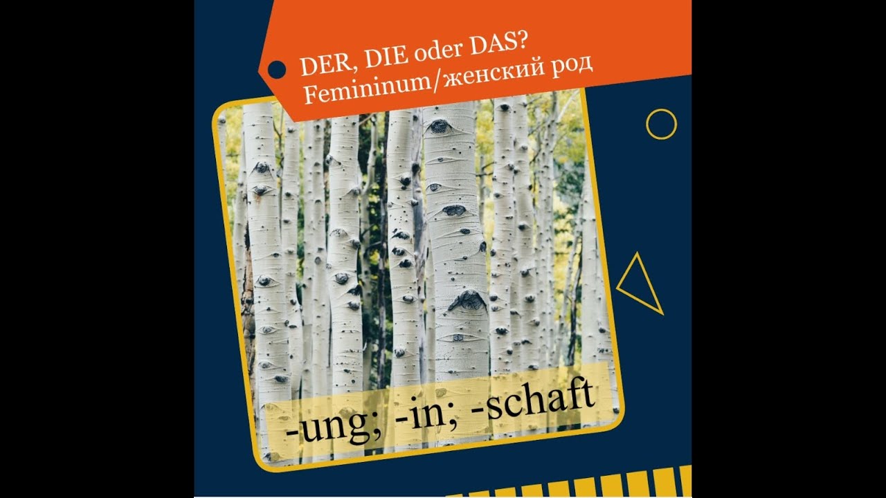 DER, DIE Oder DAS?  Femininum/ Женский род #2   #ArtikelinDeutsch  #артикль #женскийродвнемецком