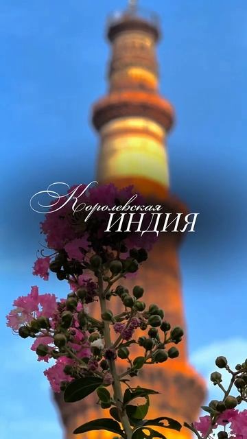КОРОЛЕВСКАЯ ИНДИЯ С WLC