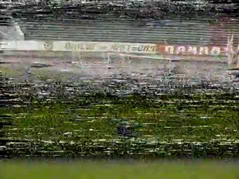 1995 год.  