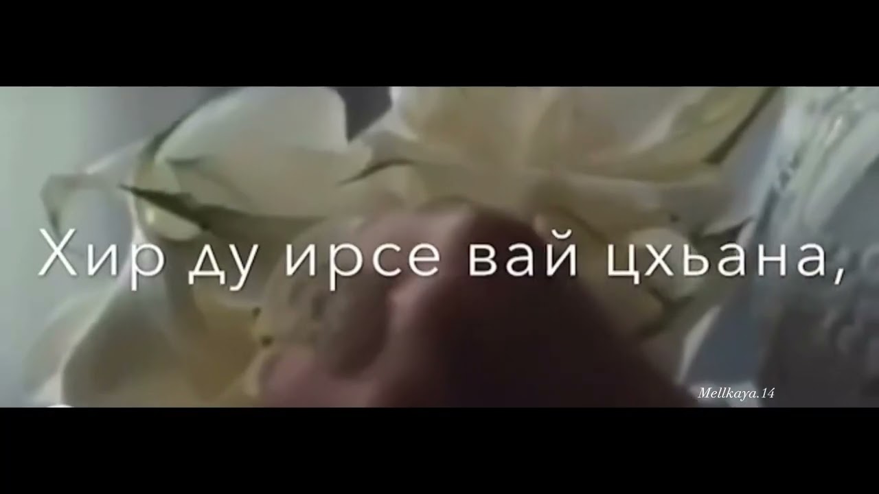 Хир ду ирсе вай цхьана мерза безамца