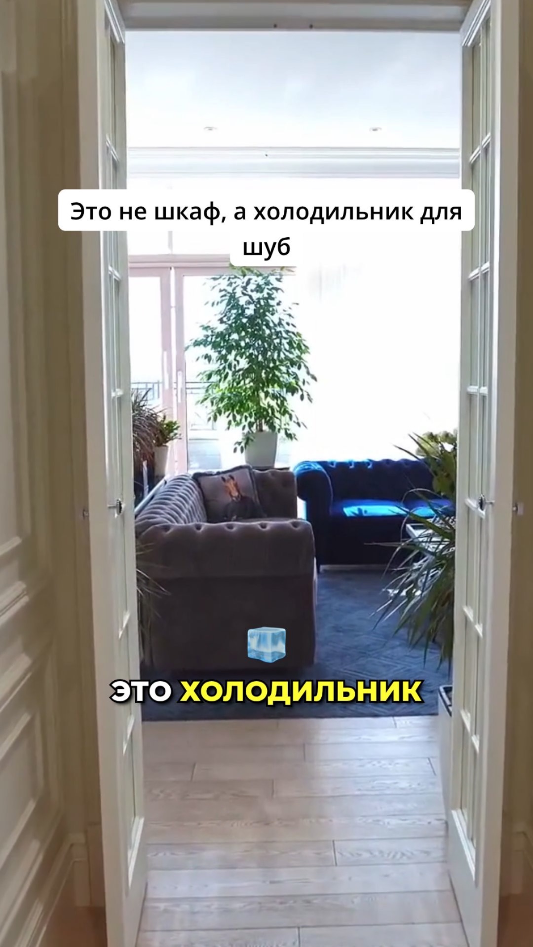 ХОЛОДИЛЬНИК ДЛЯ ШУБ: ДА, ЭТО РЕАЛЬНО!