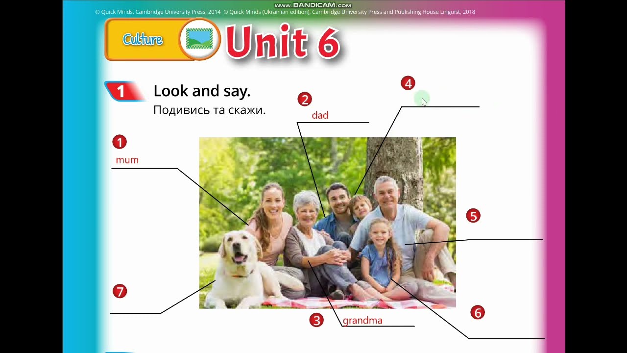 Урок повторення та узагальнення з теми 