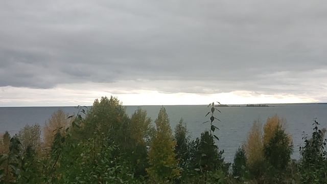Золотая осень наступает. Вид с холма над Обским морем 🌊