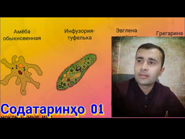 Содатаринҳо 01.|Содатаринҳо тасниф ва мафҳум