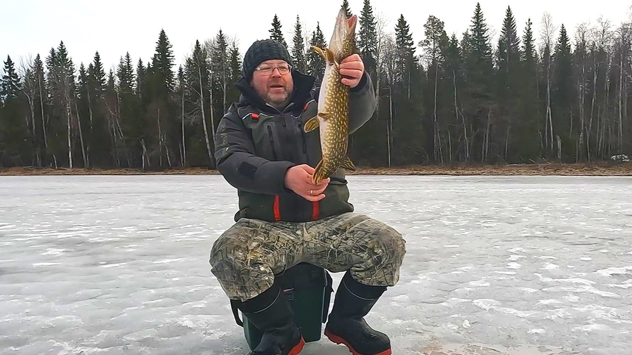Рыбалка в Карелии. Закрытие сезона зимней рыбалки. Ночёвка на озере где много окуня и щуки.