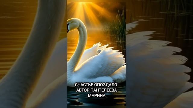 счастье опоздало