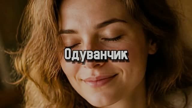 Одуванчик. Новая песня новый клип от Шкатулка Музыканта Автор Ш. А #музыка #клип #шкатулкамузыканта
